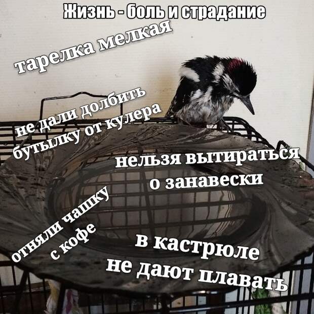 www.vsyako.net
