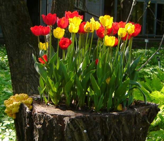 89298515_large_0_2f9eb_44cf723a_XL (700x602, 133Kb)