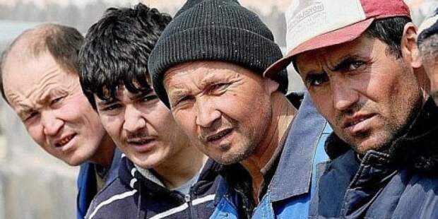 Курьеры-мигранты под запретом: ограничения вступили в силу в 32 регионах России