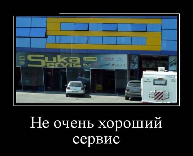 Демотиваторы
