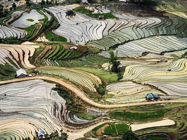 vietnam-rice-fields-scene_95378_990x742