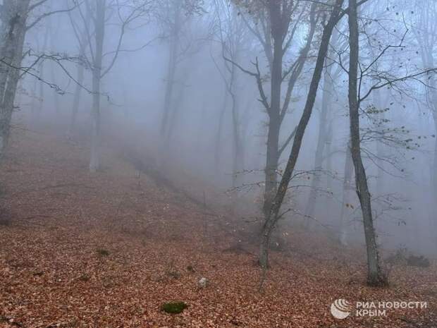 Прогноз погоды в Крыму на понедельник