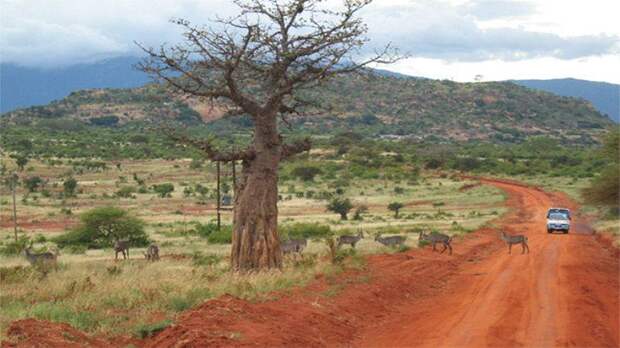 Фотография: 25 самых красивых и в то же время уединенных мест на планете №21 - BigPicture.ru