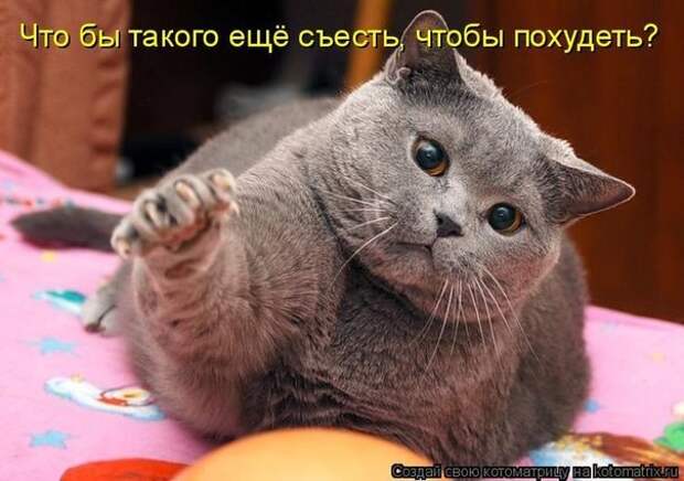 Что б еще такого съесть, что б похудеть?