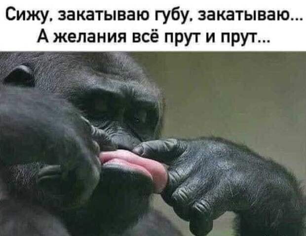 Сижу губы закатал