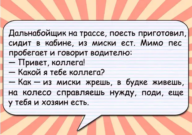 Помните, только три вида людей скажут вам правду: дети, пьяные, люди в гневе Помните, только три вида людей скажут вам правду: дети, пьяные, люди в гневе препода, случай—, теперь, пожениться, порядке, дорогая, улыбается, жених, выиграл…, всякий, Скажи, состояние, корова, пользу, лошадка, соседкаПроснулась, трезвую, голову, встала, рассадила