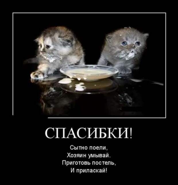 Прикольные демотиваторы с надписями. Подборка chert-poberi-dem-chert-poberi-dem-33520217102020-1 картинка chert-poberi-dem-33520217102020-1