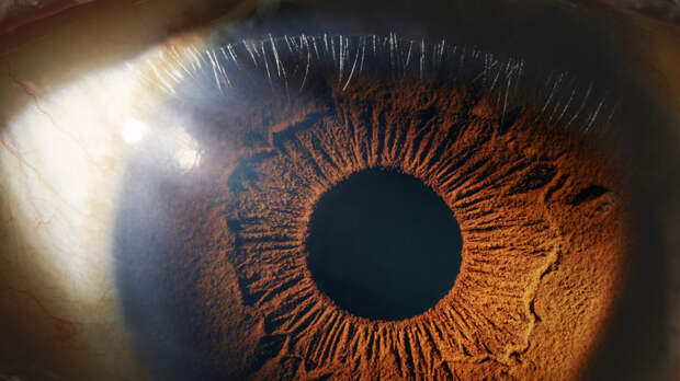 Врач Азнаурян: гирлянды могут быть вредны для глаз