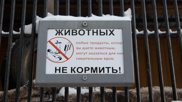 В мэрии Москвы призвали создать в столице сеть зоопарков