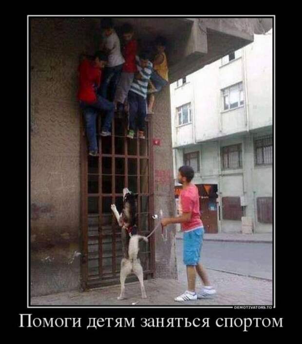 Улыбательные демотиваторы (14 шт)