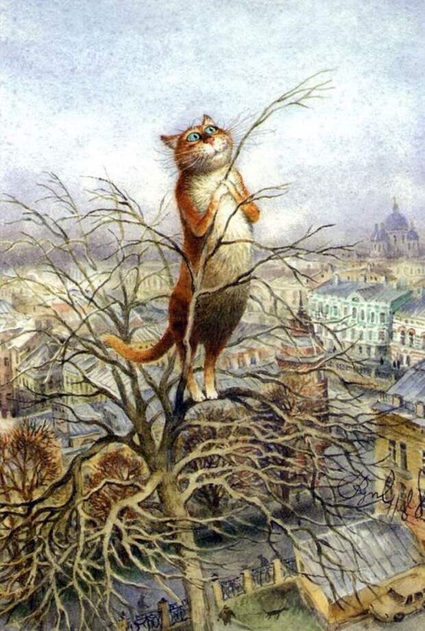 Сказочные питерские коты