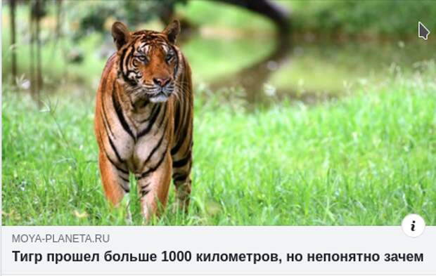 Непонятно