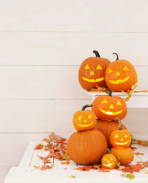 Вазы из тыквы. Друг тыквы. Тыква на белом фоне. Друг тыквы. Друг тыквы.