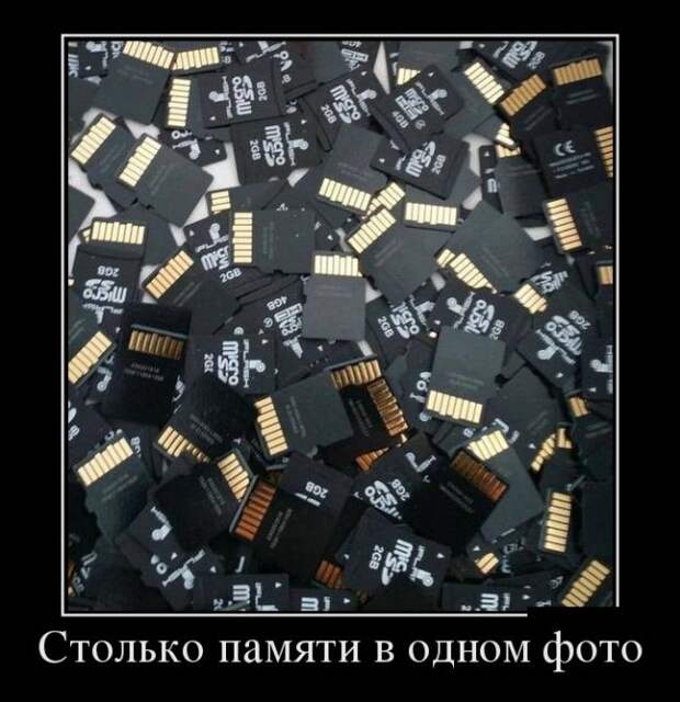 Демотиваторы (30 фото)