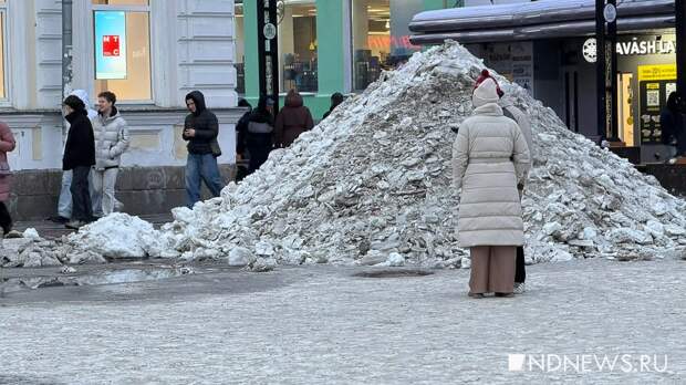 Екатеринбуржцам предложили оценить качество зимней уборки
