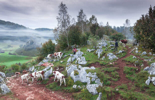 Захватывающая красота Трансильвании в 20 незабываемых снимках