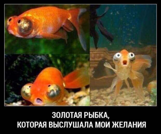 Прикольные картинки субботним утром (42 шт)