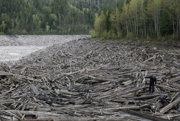 Год на реке Енисей Yenisei34 Год на реке Енисей