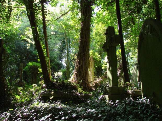 Кладбище Хайгейт в Лондон: огромное эстетическое удовольствие