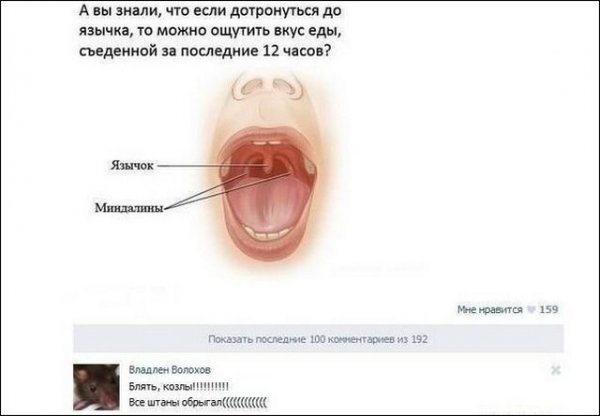 Сетевое.