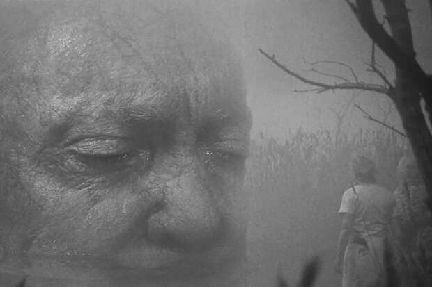 Почему попытка Трампа купить Гренландию зажгла интерес к датским сериалам и режиссерам