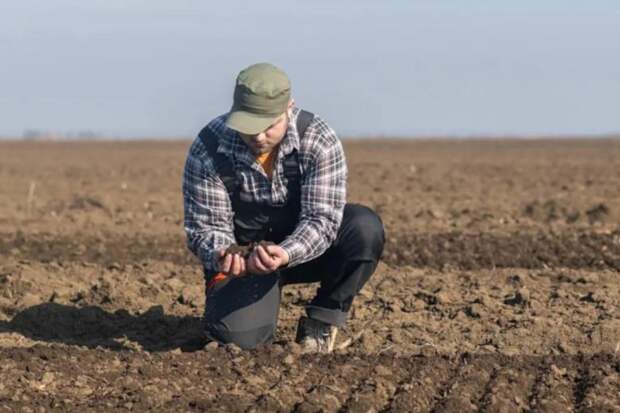 Украина теряет свои чернозёмы