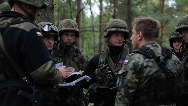 Польский спецназ прибыл в Марганец для фильтрации и зачистки «пособников России»