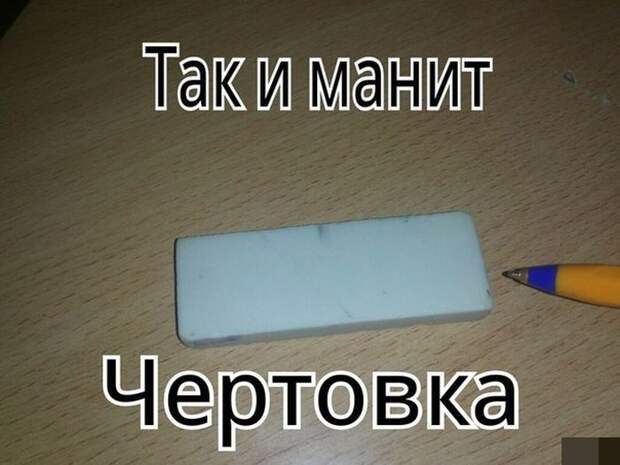 Прикольные картинки Прикольные картинки