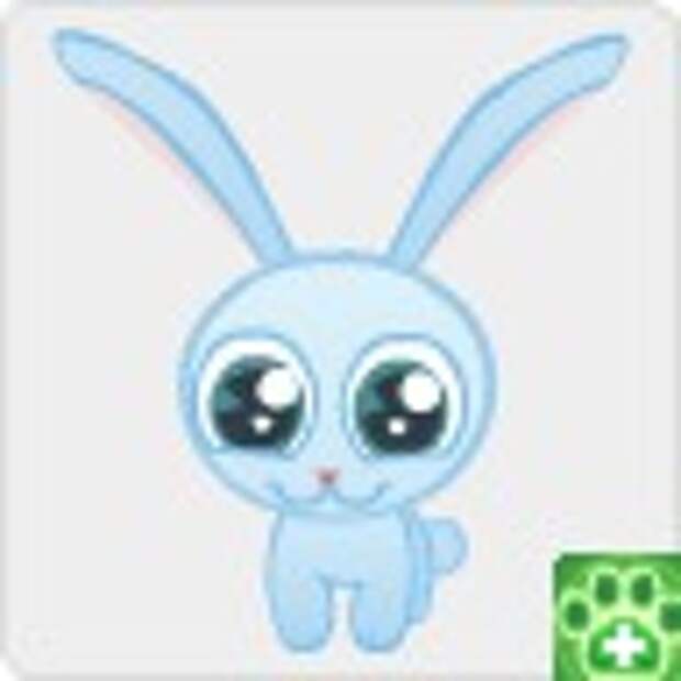 Фото без названия