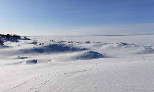 Пропавшая жительница Архангельской области найдена погибшей