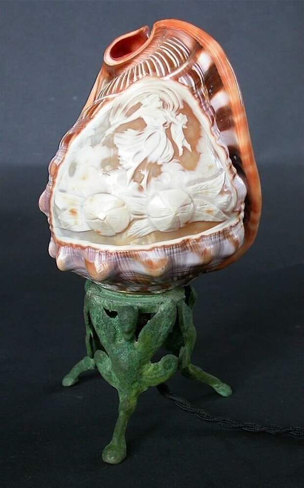 Морские раковины как произведения искусства
