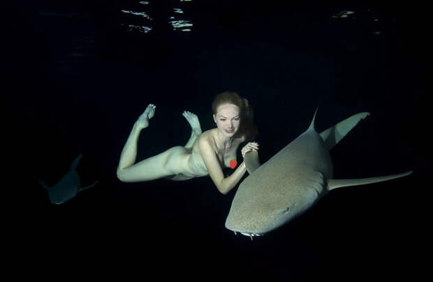 Обнаженная фотосессия с акулами