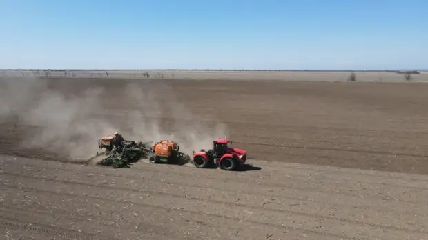 В трёх районах Крыма на следующей неделе начнут сеять рис