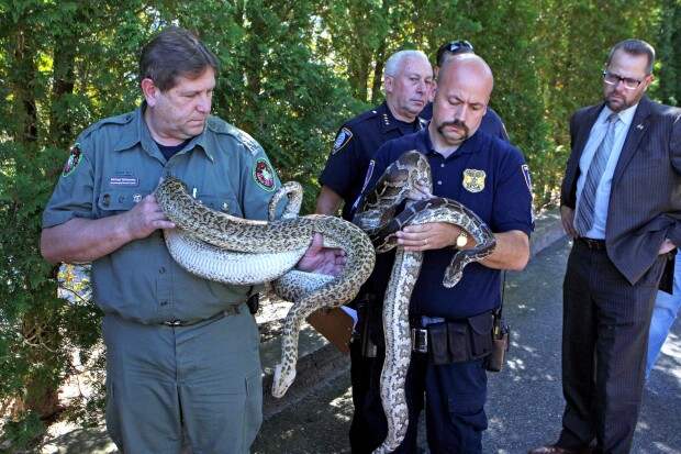 091913_Snakes_VA_001.JPG