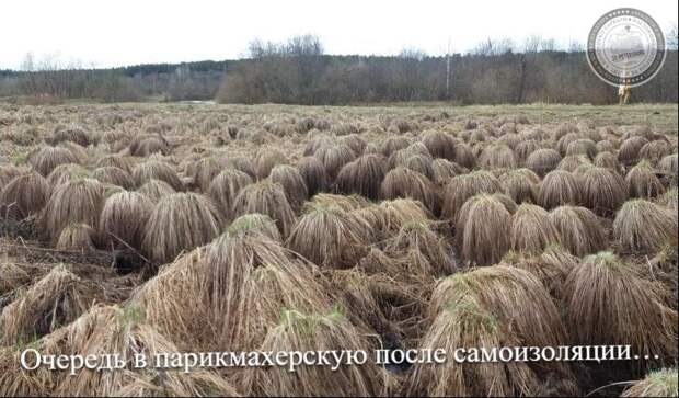 Очередь в парикмахерскую после самоизоляции…