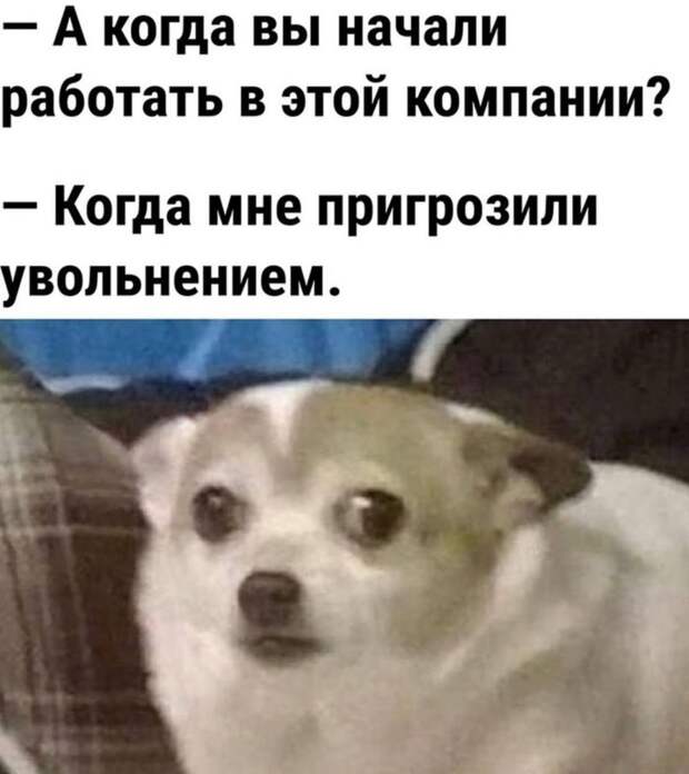 @psychology_funny  #юмор #смешное #приколы