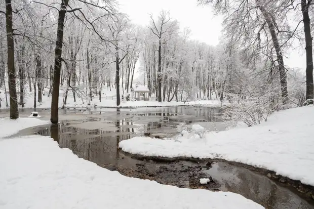 Больше половины от месячной нормы осадков выпало в первые дни апреля в Туле