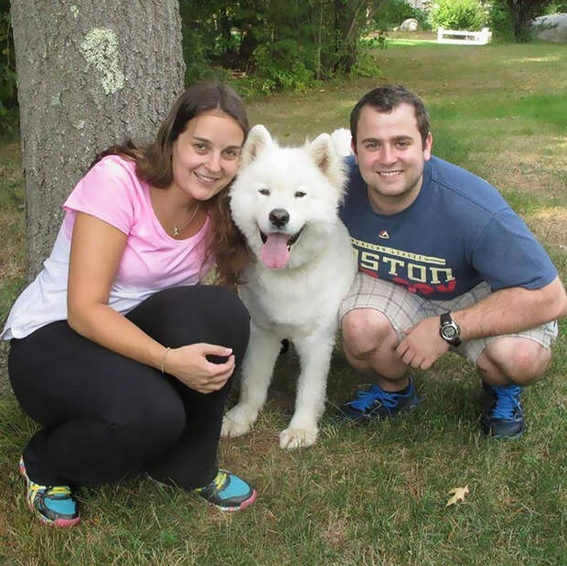 meat-farm-dogs-reunite-kenji-sophia-4