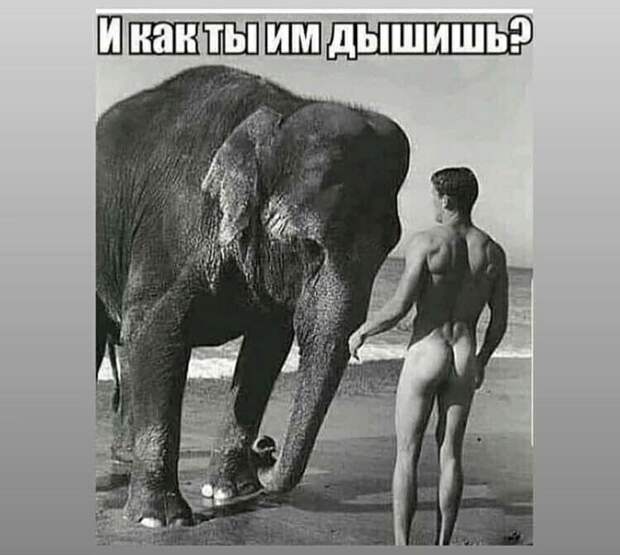Подборка самых разных анекдотов, юмора и веселых историй в картинках