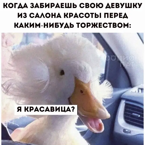      ,  ,   ,    ...