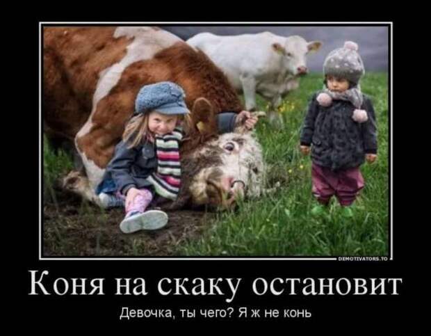 Прикольные демотиваторы с надписями. Подборка chert-poberi-dem-chert-poberi-dem-33520217102020-17 картинка chert-poberi-dem-33520217102020-17