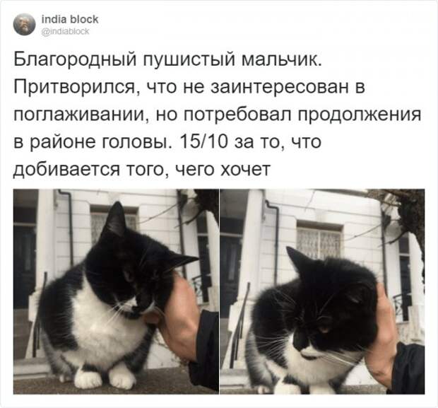 www.vsyako.net