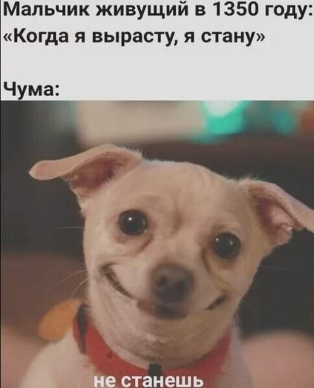 Еще немного, а вместо чумы может оказаться ковид