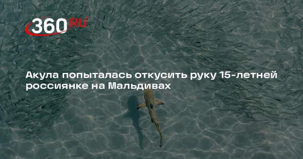 «Shot Проверка»: акула напала на россиянку во время снорклинга на Мальдивах