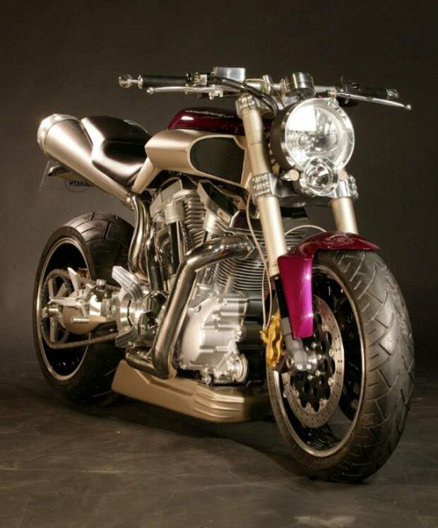 Wild-Star-1600-51 Кастом Yamaha от Людовика Лазаретта