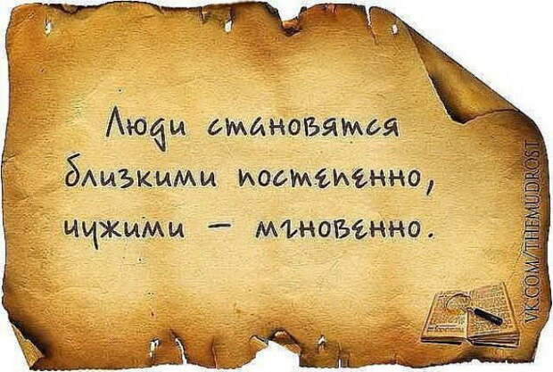 Трезвые мысли в картинках Трезвые мысли в картинках