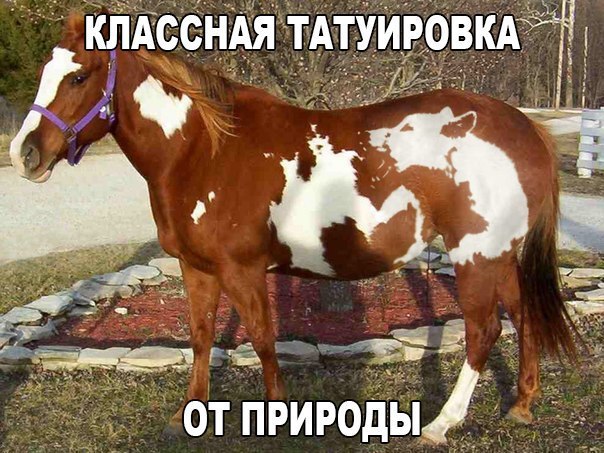 Позитивные картинки с надписями для хорошего настроения (12 фото) Позитивные картинки с надписями для хорошего настроения (12 фото)