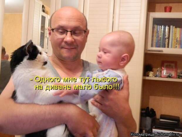 Лучшие котоматрицы недели