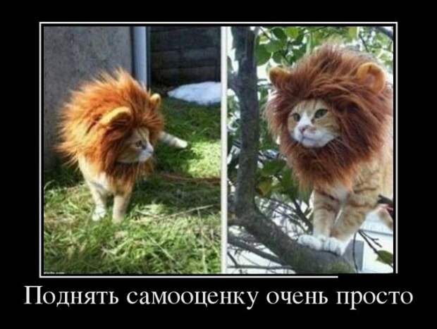 demotivatory-demotivator-smeshnye-demotivatory-demotivator-so-smyslom demotivatory-demotivator-smeshnye-demotivatory-demotivator-so-smyslom