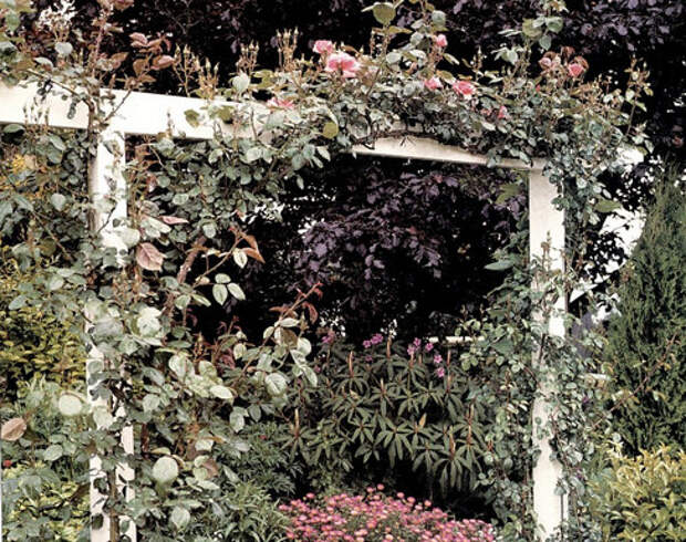 pergola